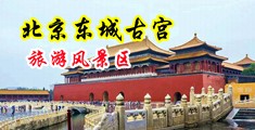 黑丝白慰中国北京-东城古宫旅游风景区
